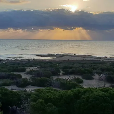 Holiday Apartments La Mata Appartement